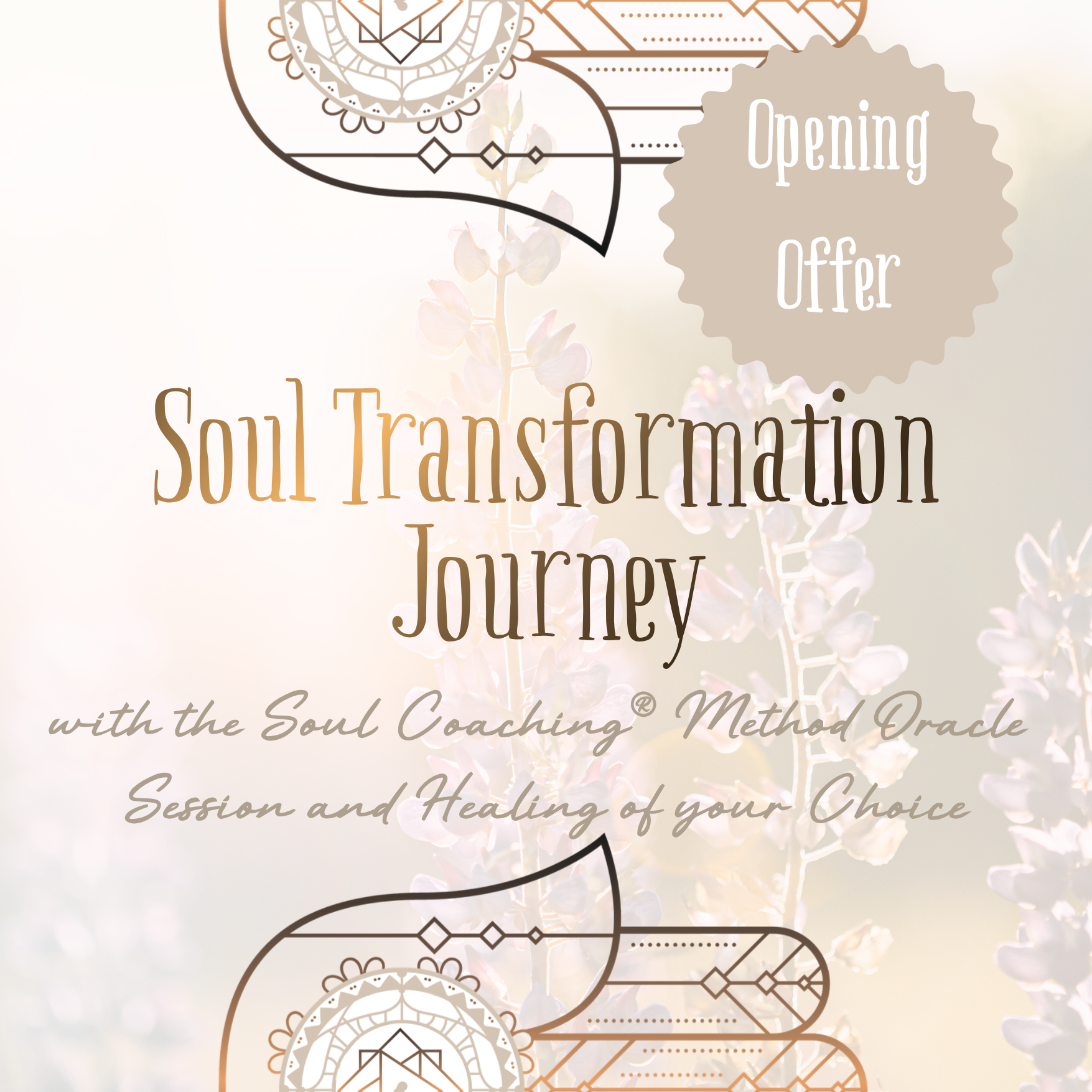 Soul Transformation Journey
