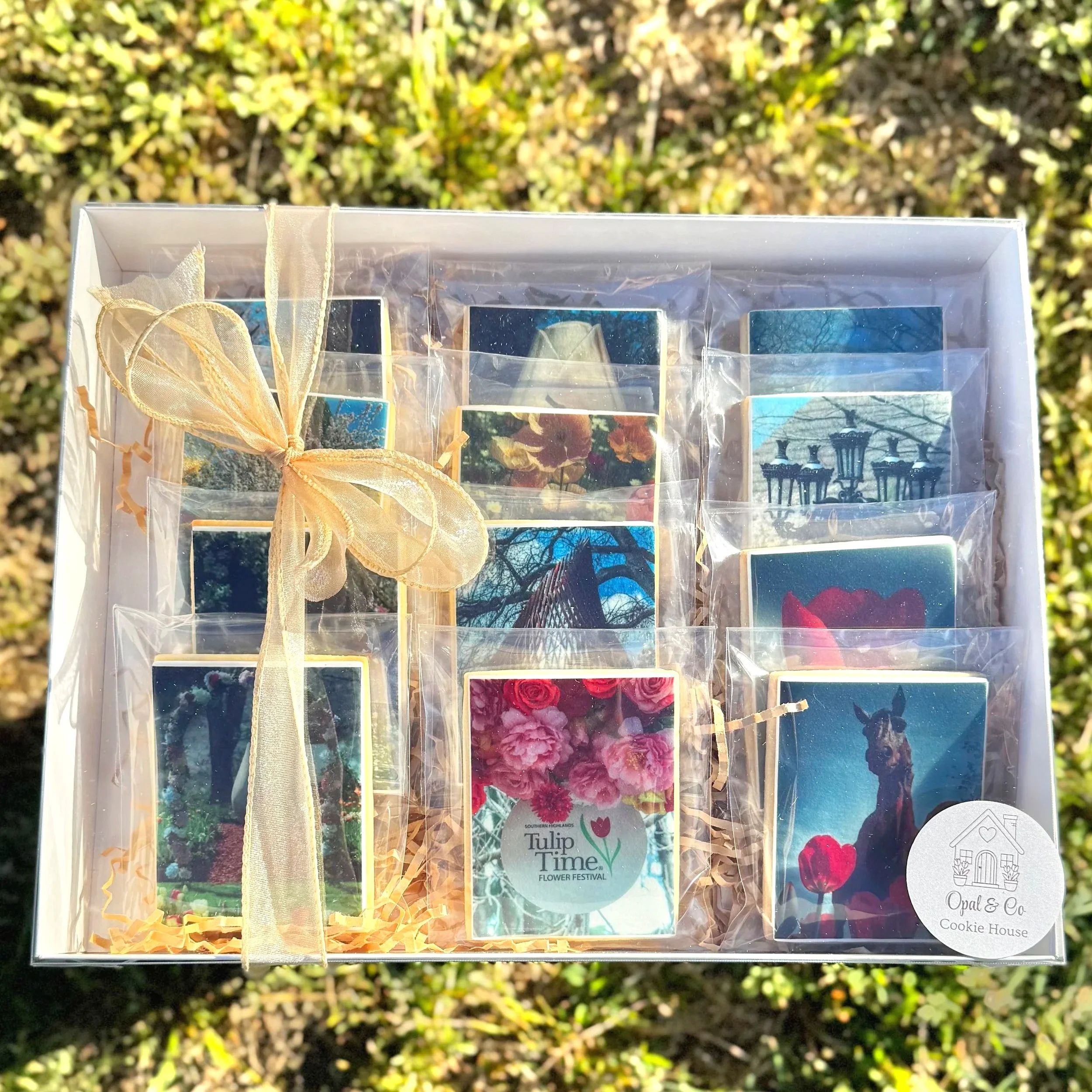 Close-up of a decorative gift box with photos of flowers, wrapped with a ribbon, labeled 'Tulip Time Flower Festival' and 'Opal & Co Cookie House,' set outdoors on a grassy surface