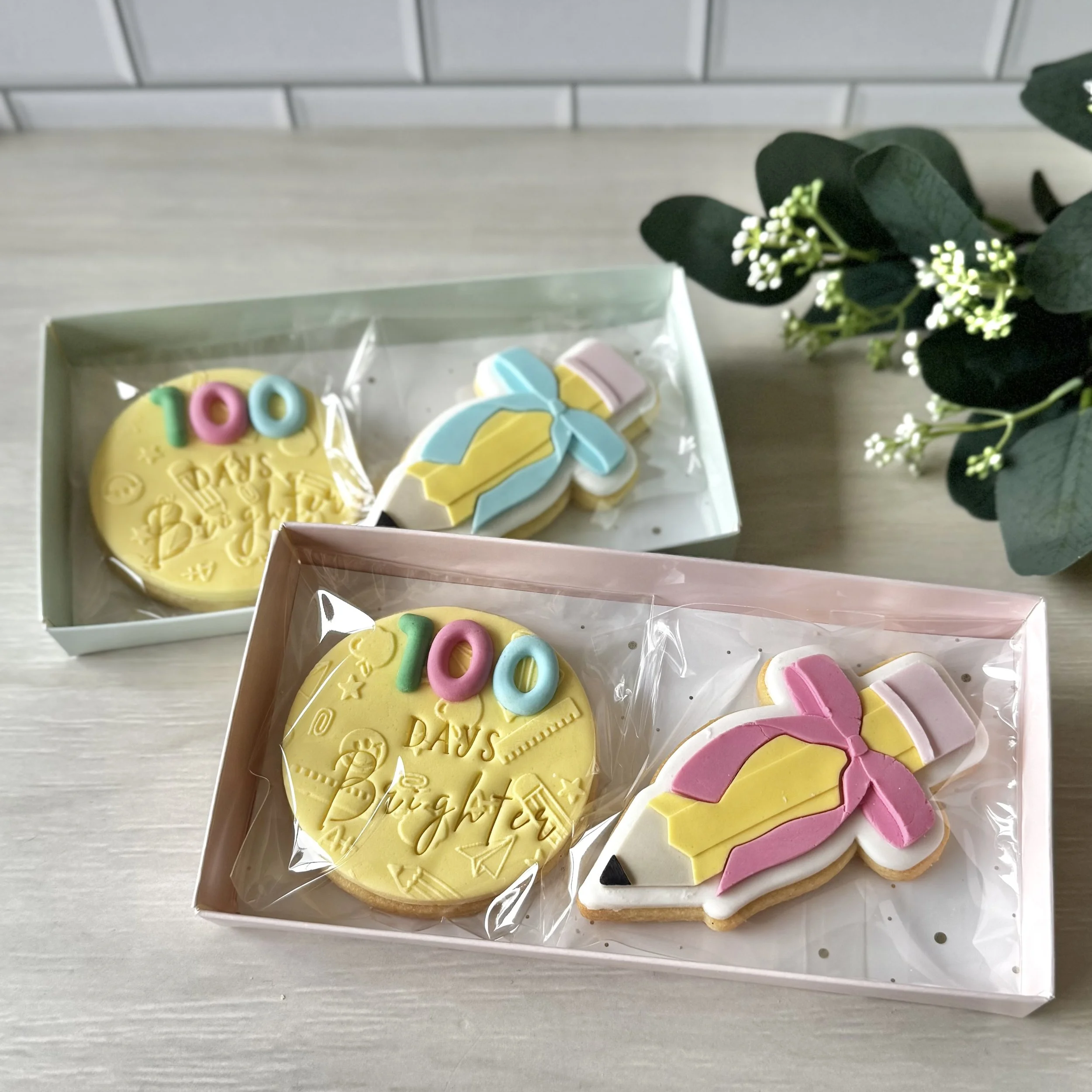 Decorative cookies in a bakery box with pastel colors and number 100 to celebrate the first 100 days of kindergarten