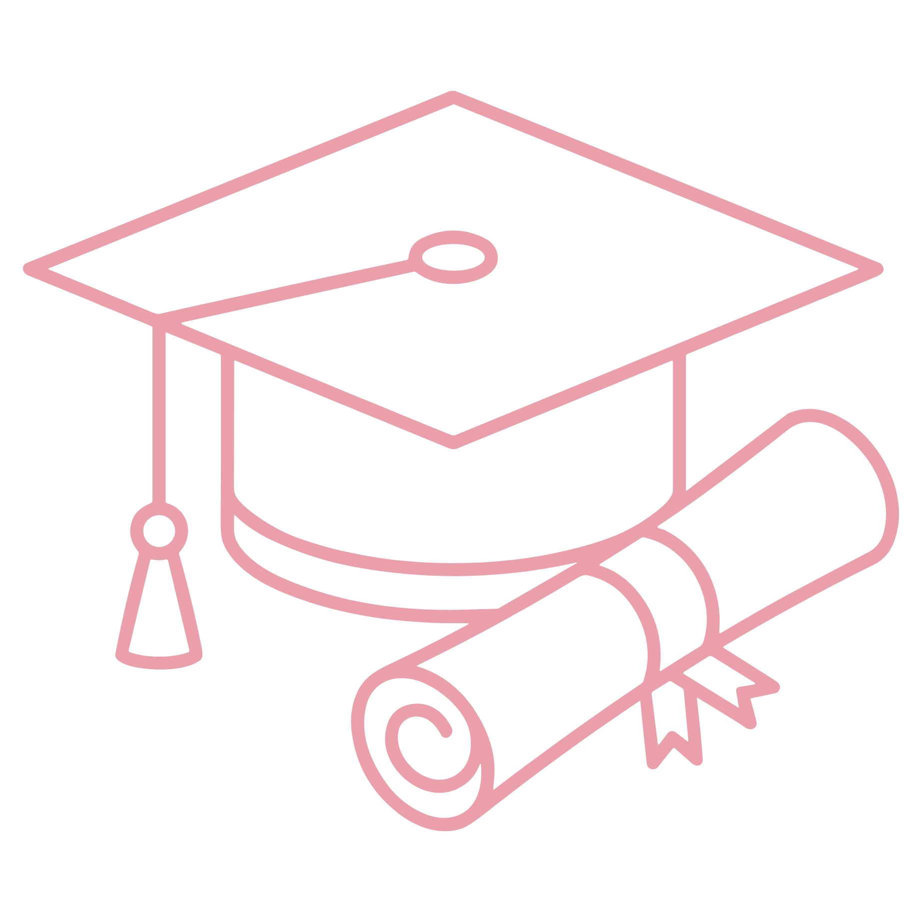graduation cap icon