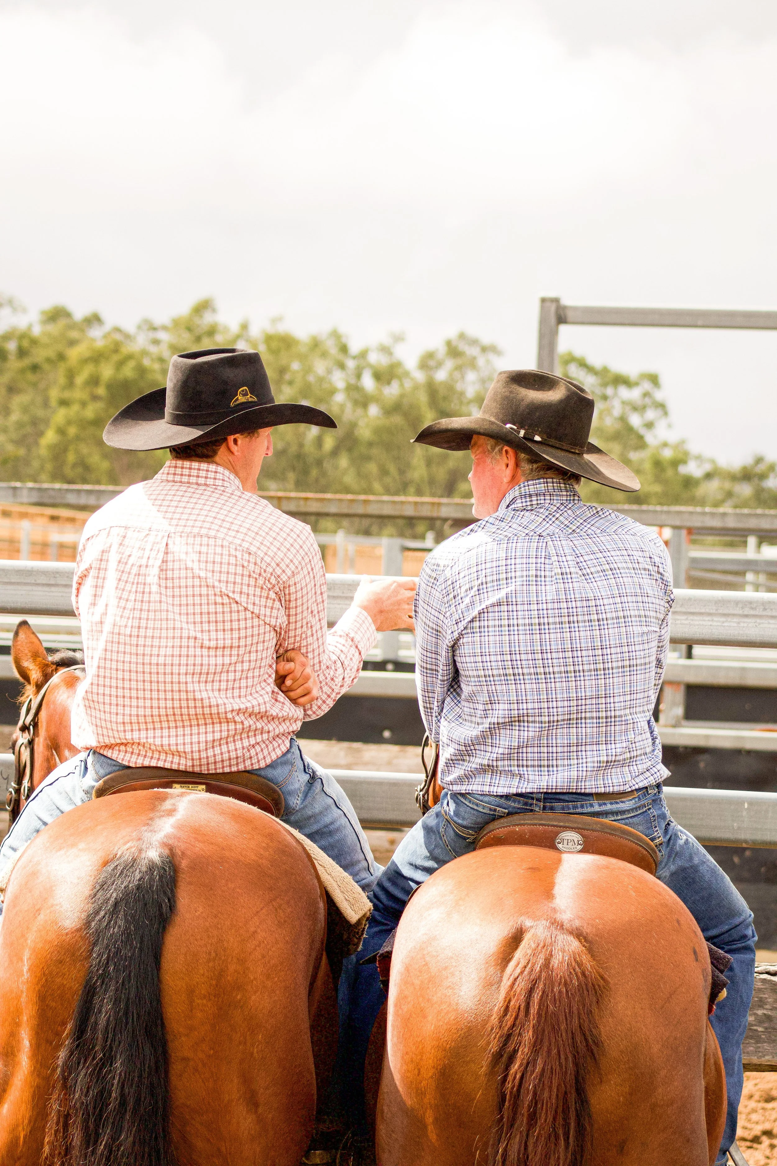 Two men in cowboy hats riding horses, viewed from the back, at an outdoor arena with a metal fence and trees in the background.