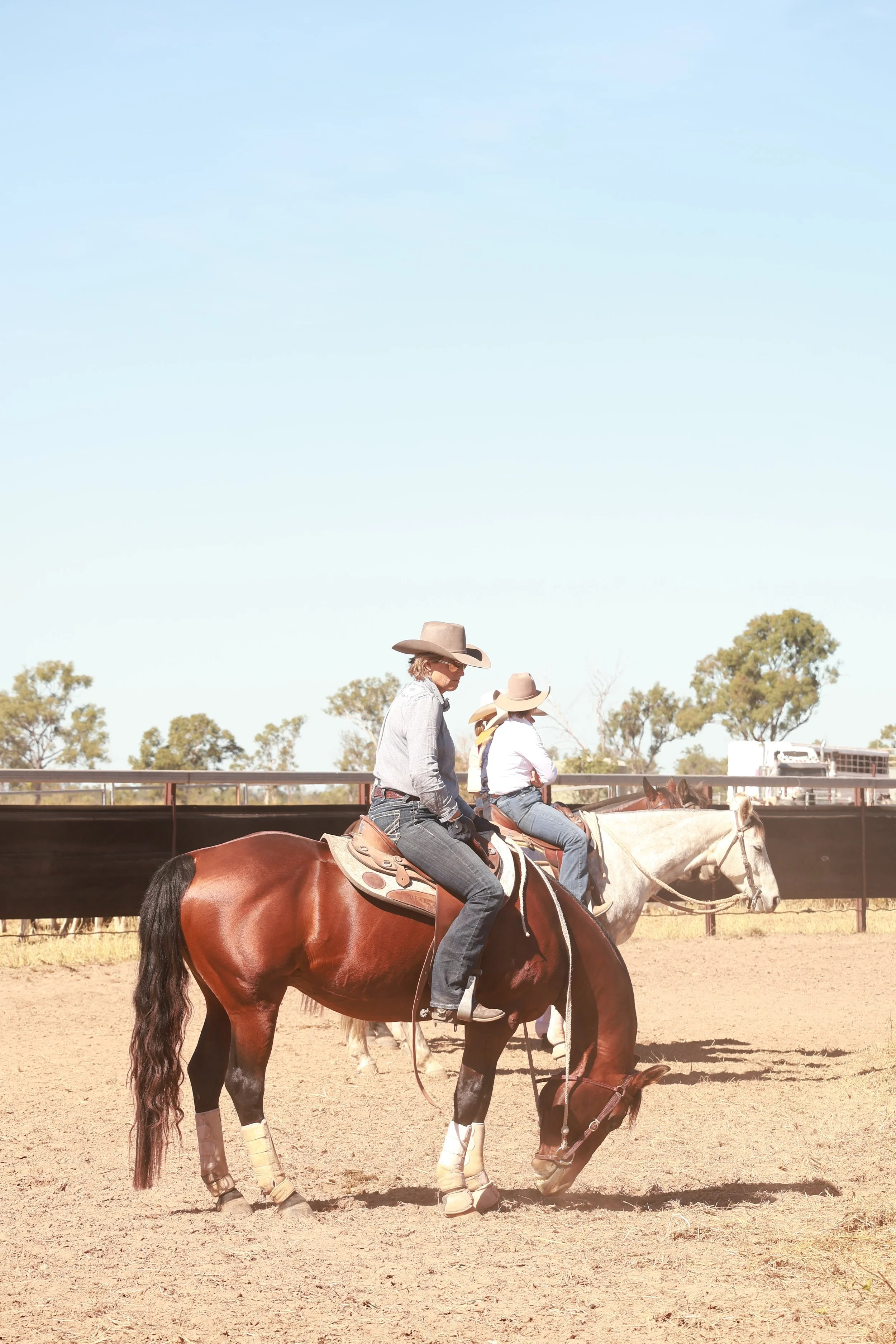 Two women riding horses in a rodeo arena under a clear blue sky, with trees and fence in the background.