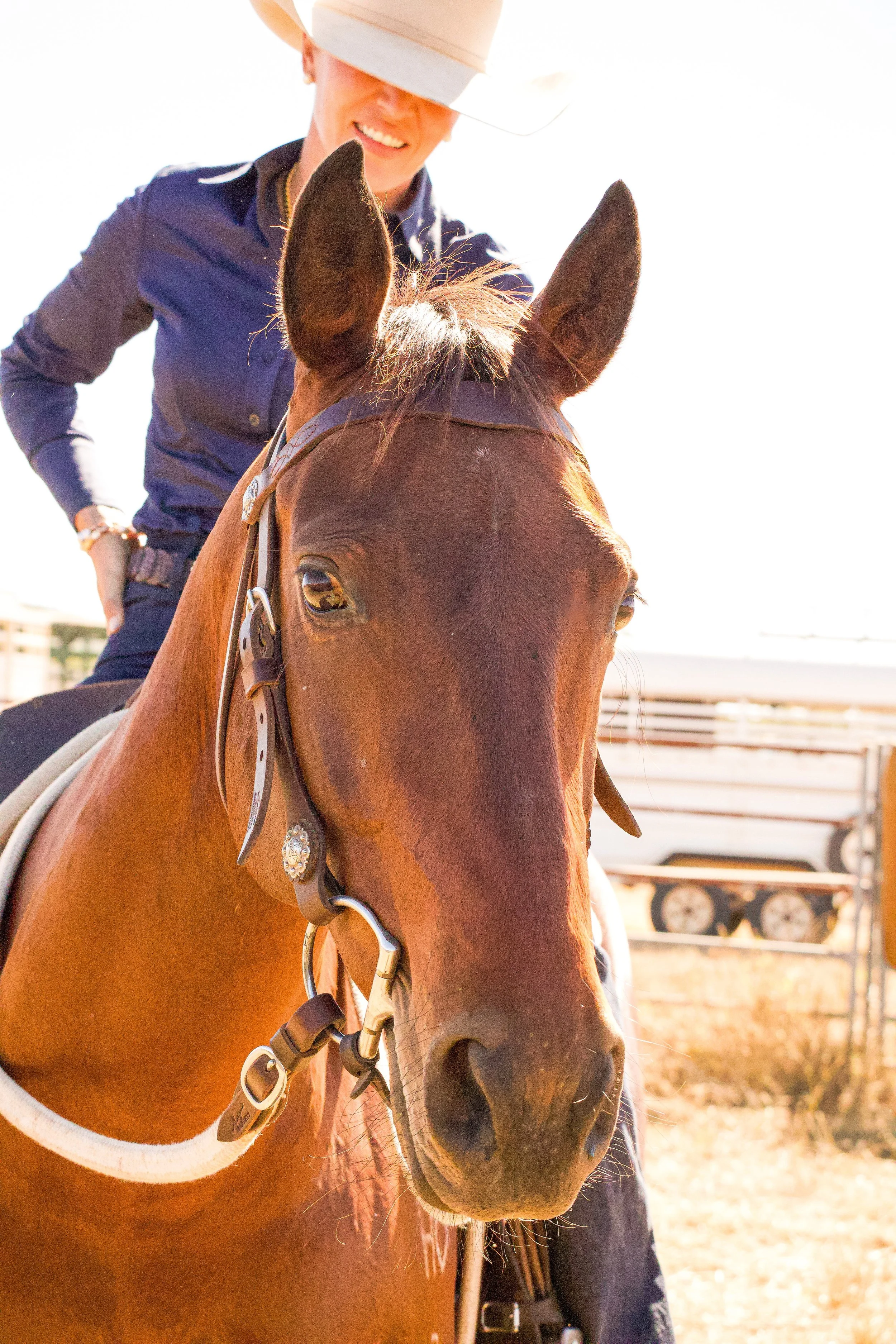 A person wearing a wide-brimmed hat and a dark shirt, sitting on a brown horse with a leather bridle, outdoors on a sunny day.