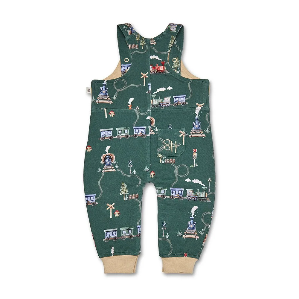 olive-trains-overalls-flatlay-back.jpg