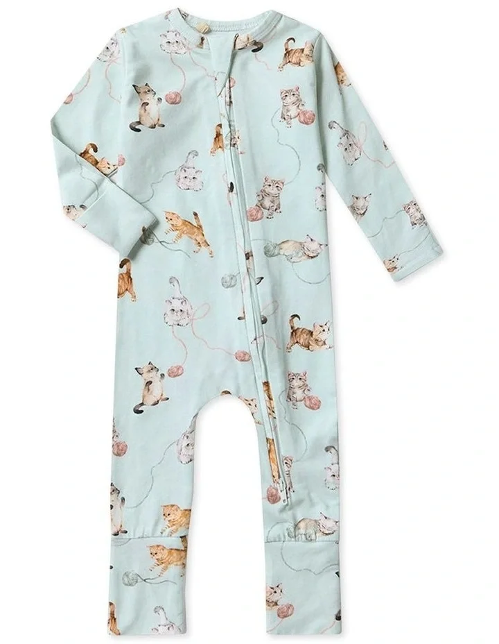 Kittens.webp