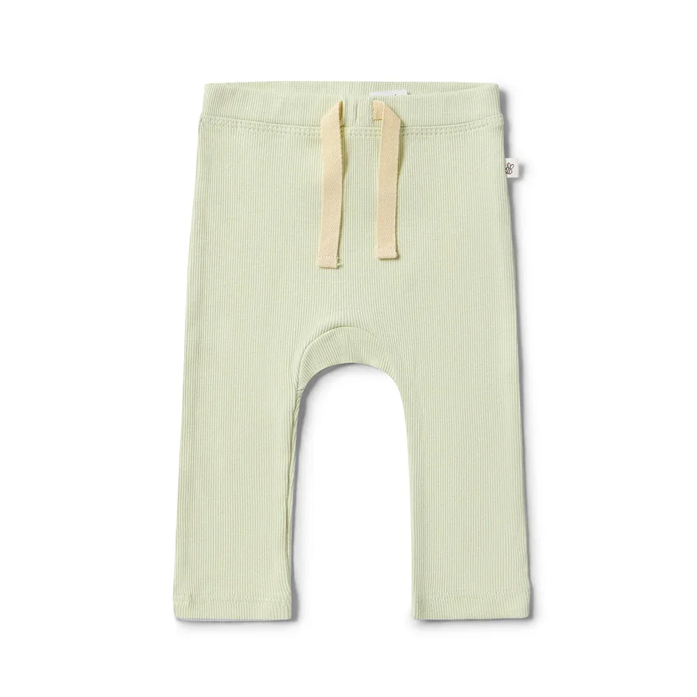 honeydew_1_3000x.webp