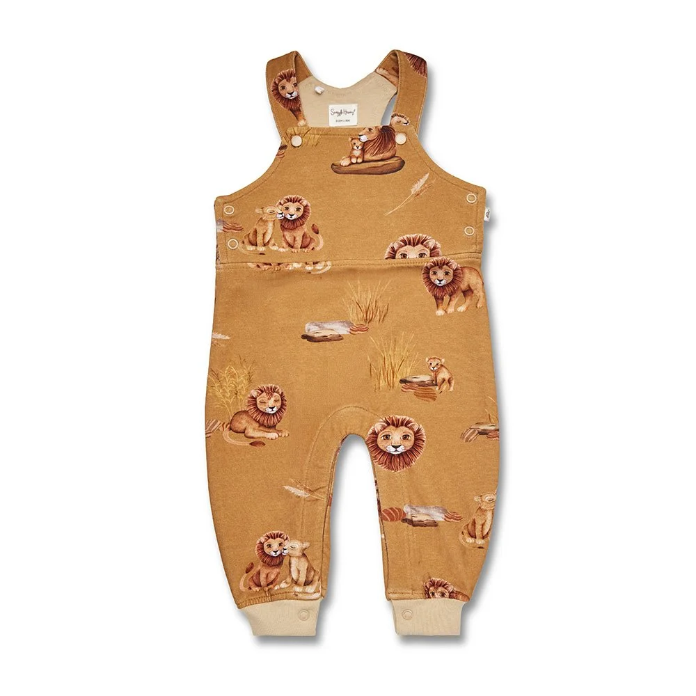 roar-overalls-flatlay-front.jpg