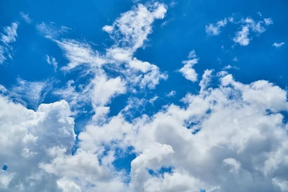 Carbon Emission Scopes Made Simple