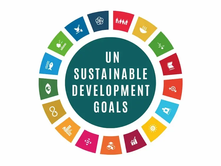 UN Sustainable Development Goals Made Simple