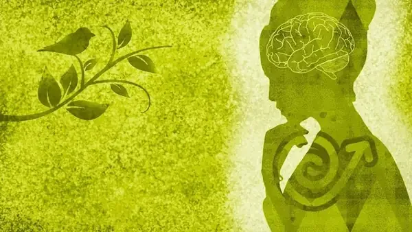 CSR and ESG Basics in the Spotlight