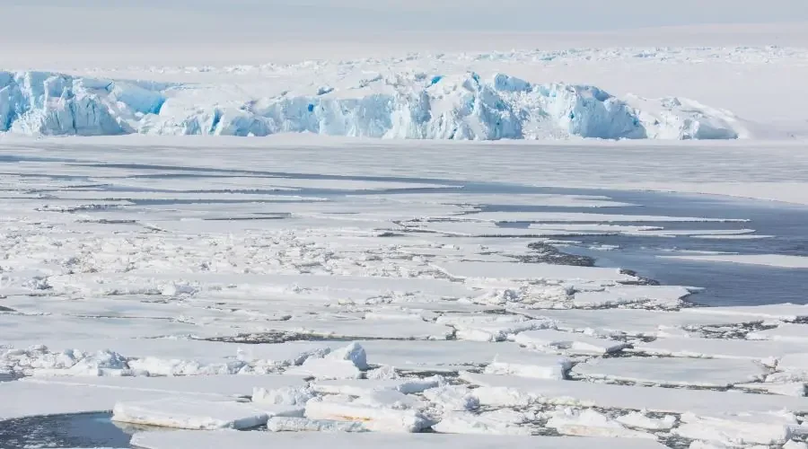 7 Damaging Impacts of Climate Change to Know