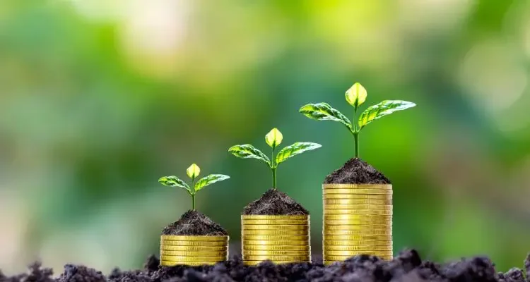 Carbon Credit Markets: Trends and Predictions