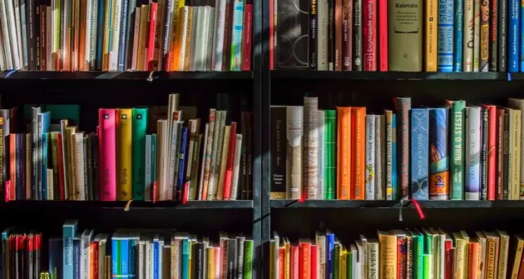7 Books About Sustainability to Inspire You