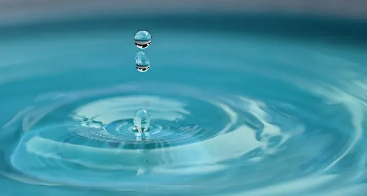 Blue Carbon: Its Value to Climate Action Explained