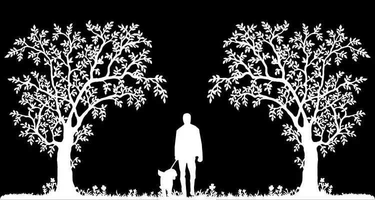 Urban Green Spaces: Sustainability Benefits &amp; Challenges