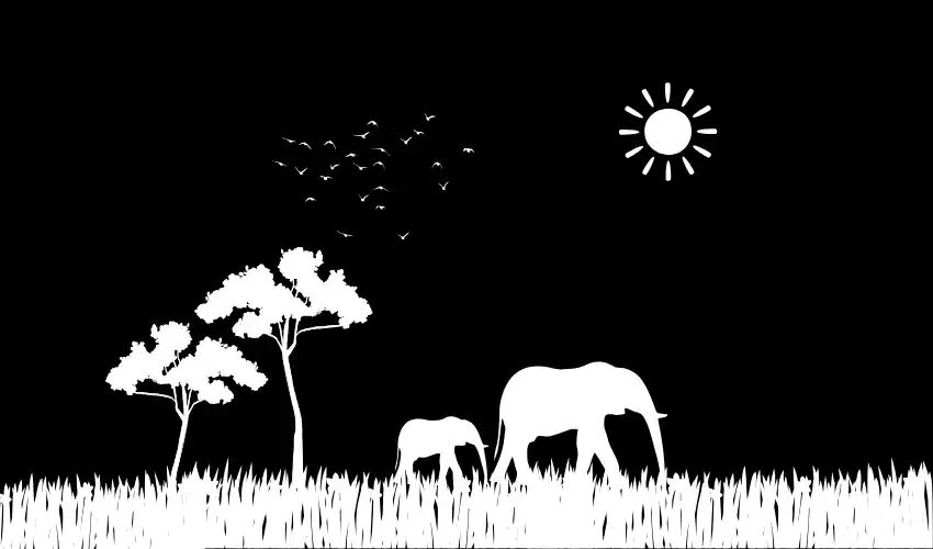 45 Incredible Nature Facts to Know