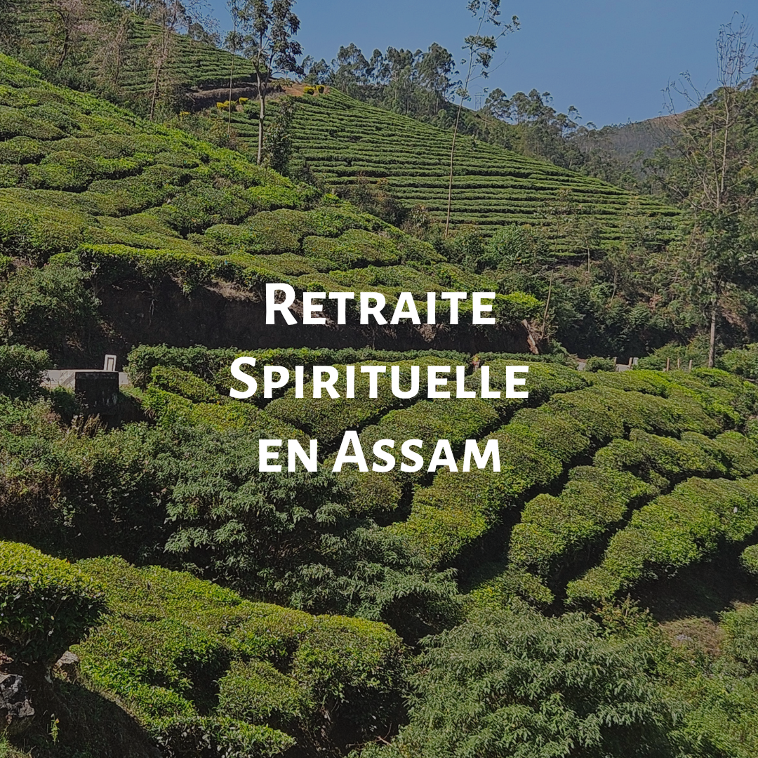 Retraite Spirituelle en Assam