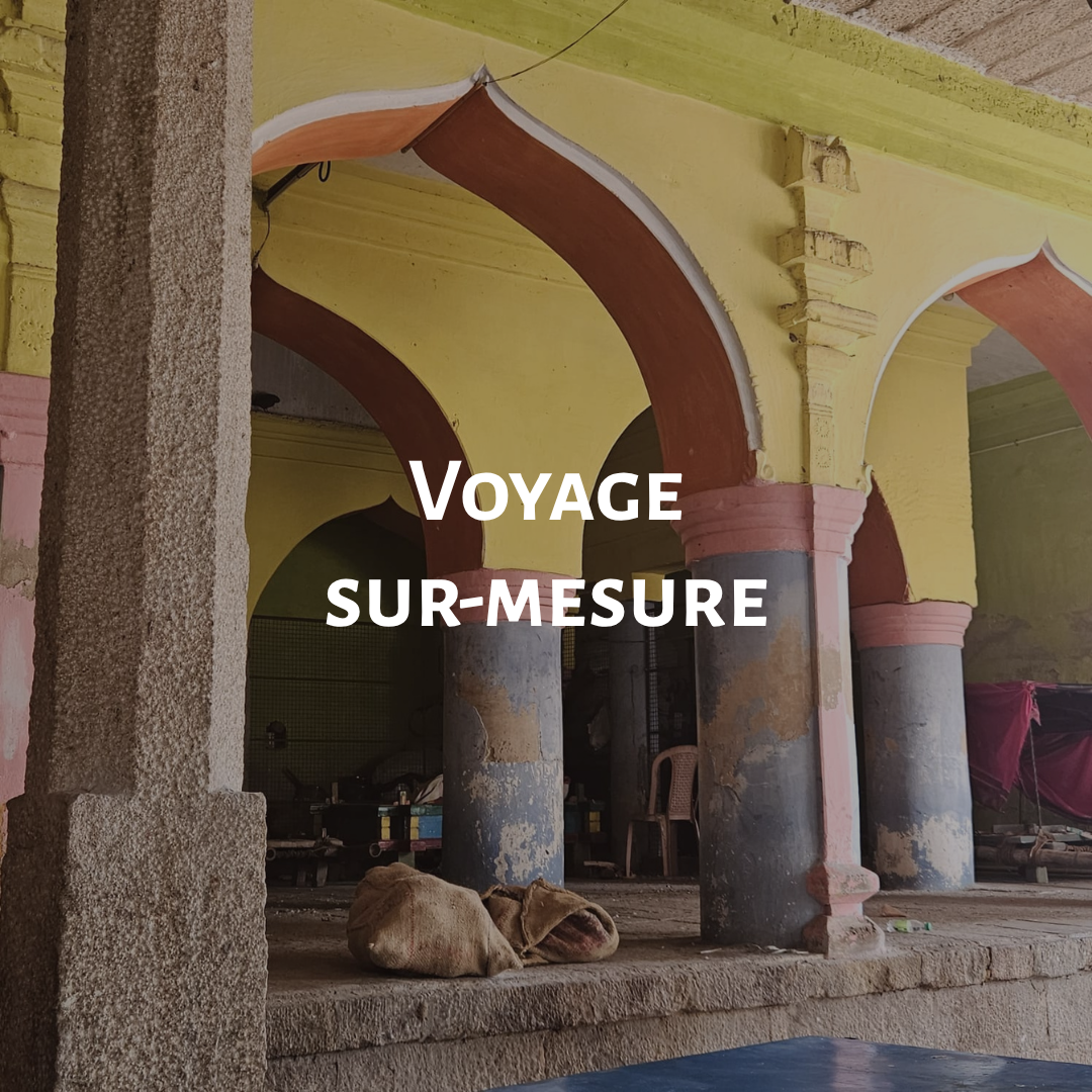 Voyage sur mesure en Inde