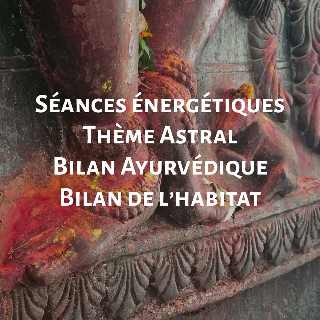 Accompagnement spécialisé grâce aux séances énergétiques, thème astral, bilan ayurvédique, bilan de l'habitat grâce au Vastu Shastra