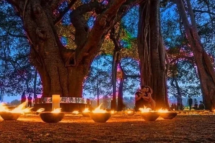 Une scène nocturne en plein air avec de grands arbres et plusieurs bougies allumées disposées sur le sol. Des personnes sont visibles en arrière-plan, parmi elles quelqu'un qui semble prendre une photo ou un selfie.