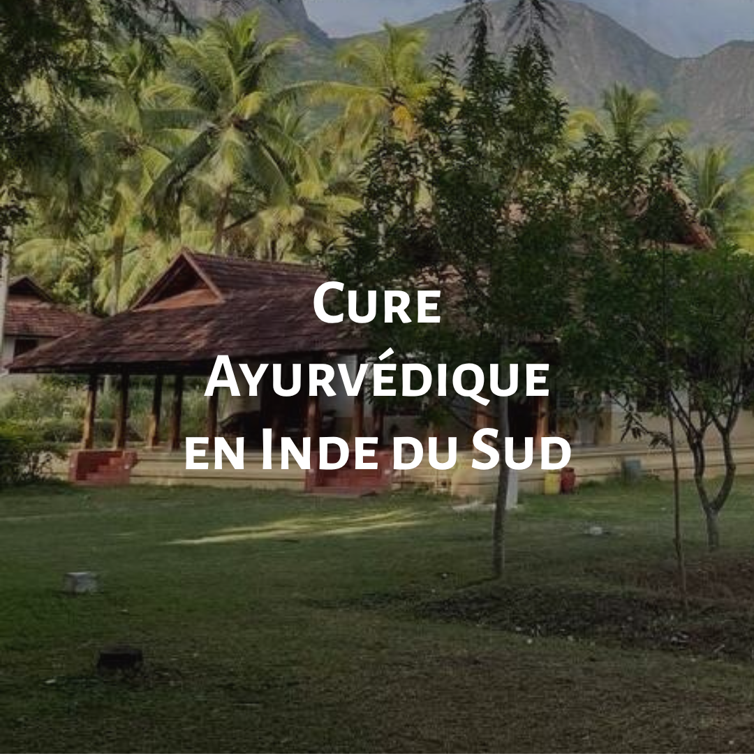 cure ayurvédique en Inde du Sud