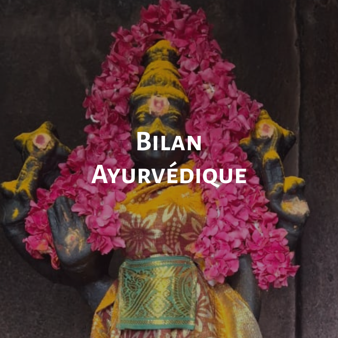 Bilan ayurvédique