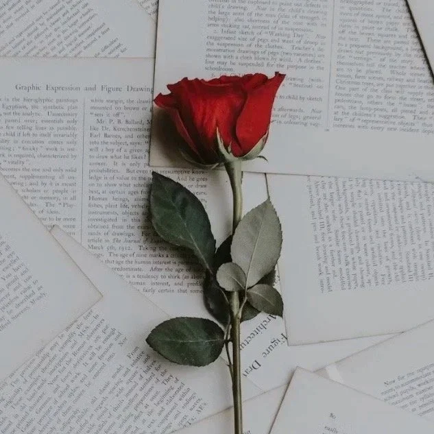 100 Roses | The Ultimate Statement of Love & Luxury