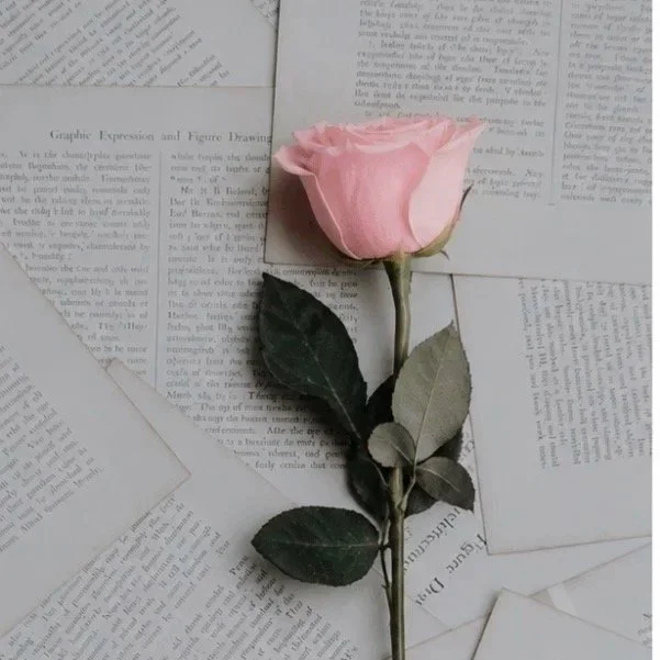 100 Roses | The Ultimate Statement of Love & Luxury