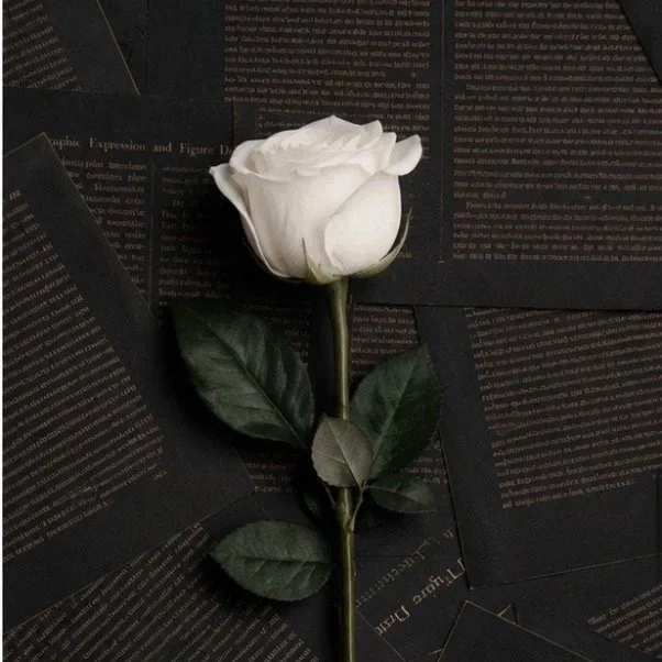 100 Roses | The Ultimate Statement of Love & Luxury