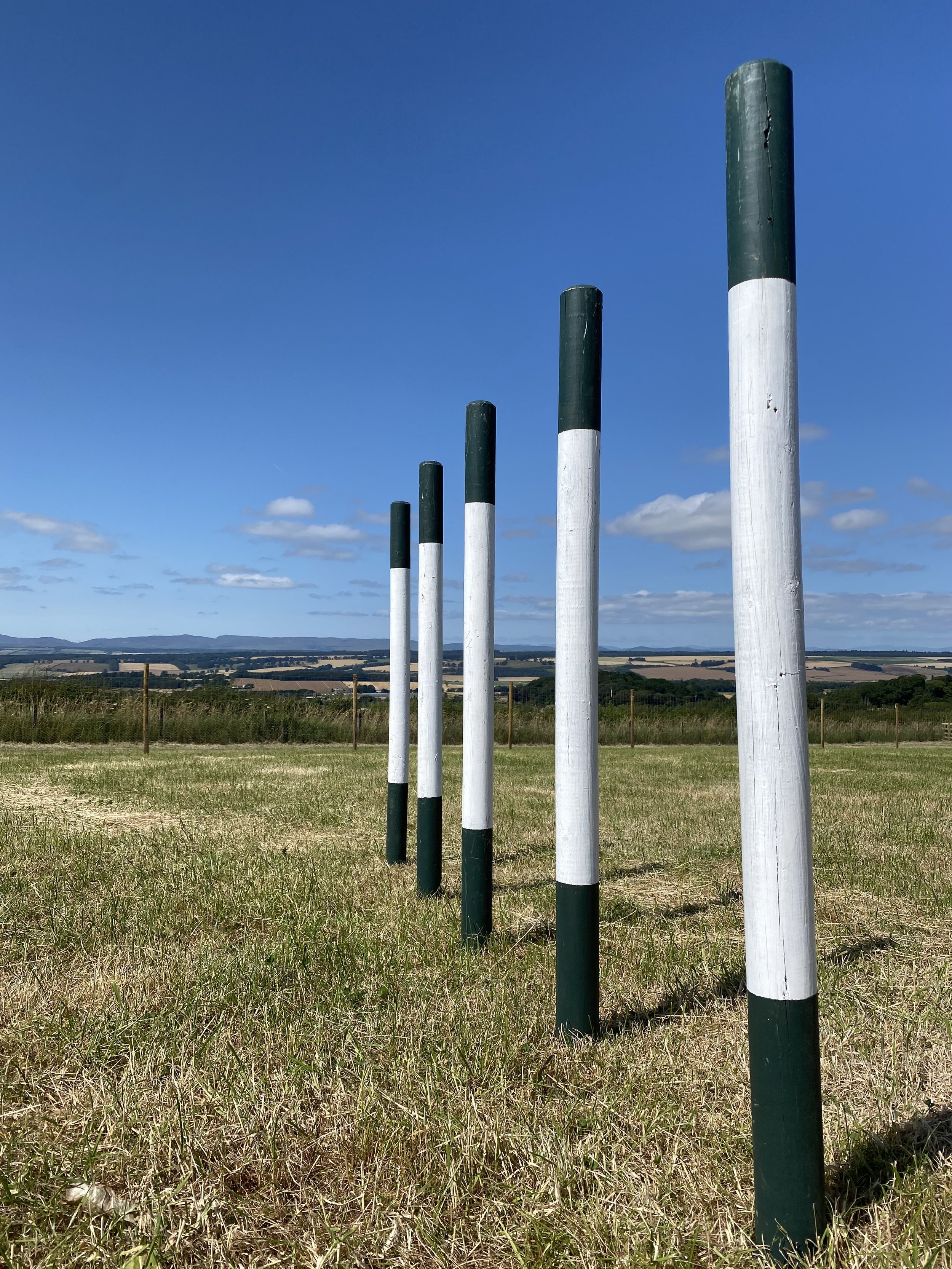 Dog agility poles at dunning dog park, along with other exciting apparatus