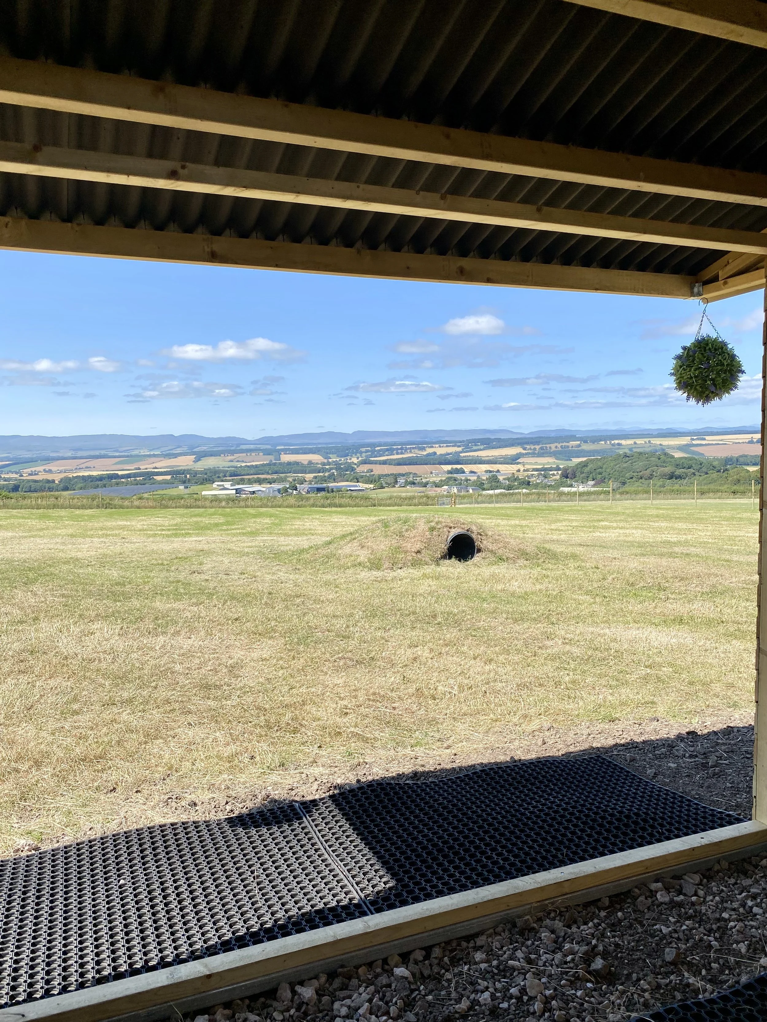The view from our shelter at dunning dog park. The park is suitable in all weather due to having shelter