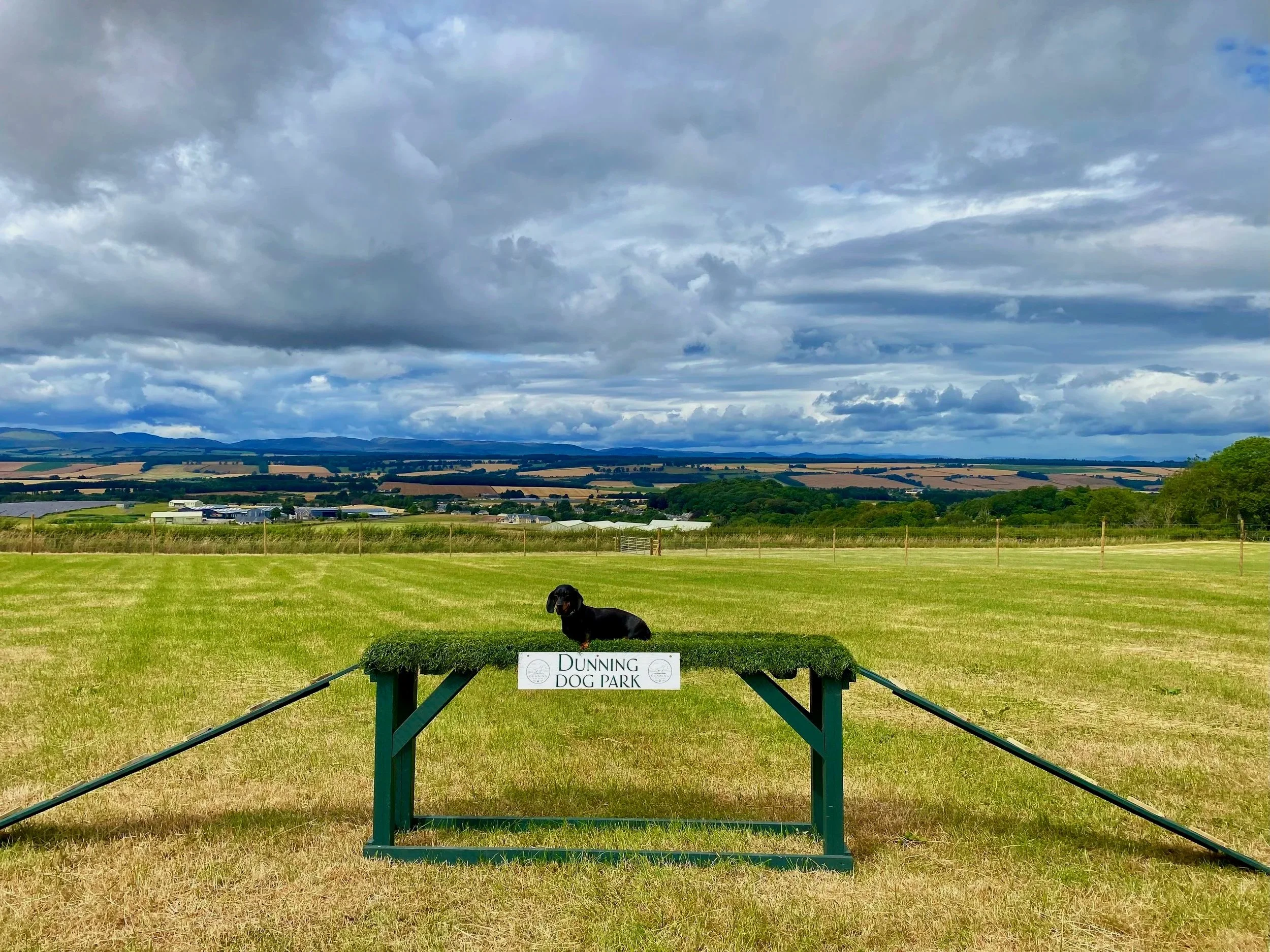 A black dog sitting on grass in front of a sign that reads 'Dunning Dog Park.' The dog is on a raised platform with greenery, and the background features rolling fields and a cloudy sky.