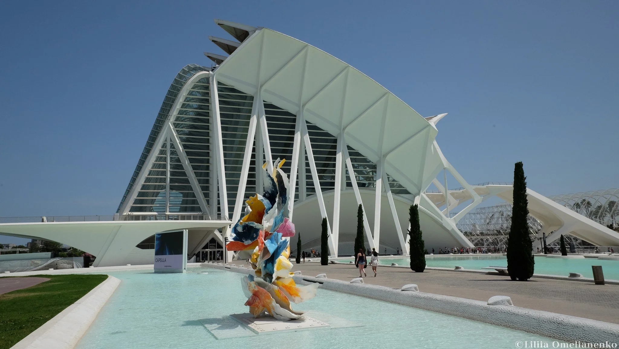 DSCF1639.jpg