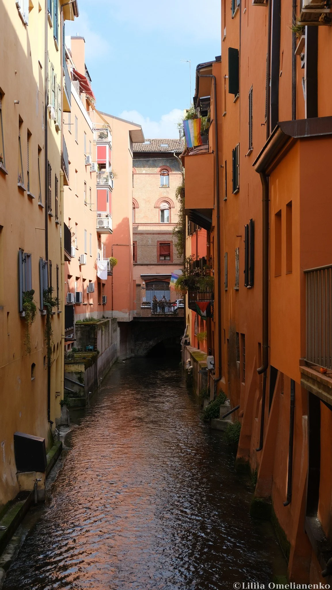 DSCF4388.jpg