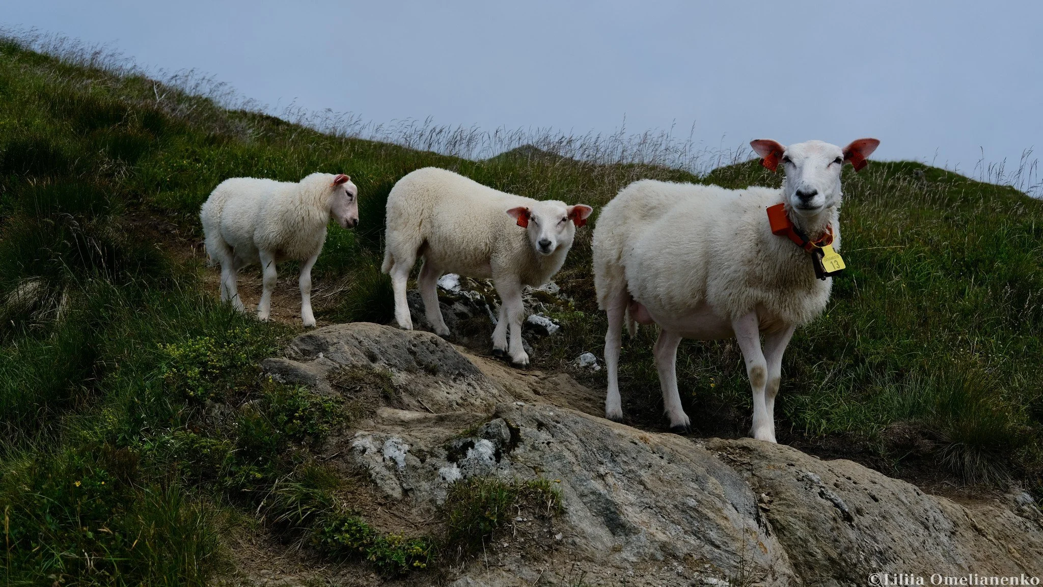 DSCF5779.jpg