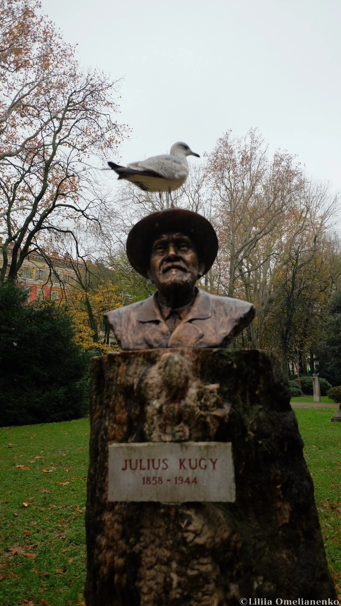 DSCF3700.jpg