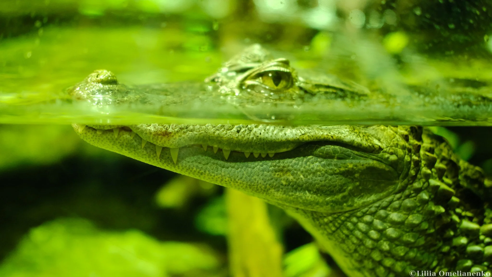 DSCF9794.jpg