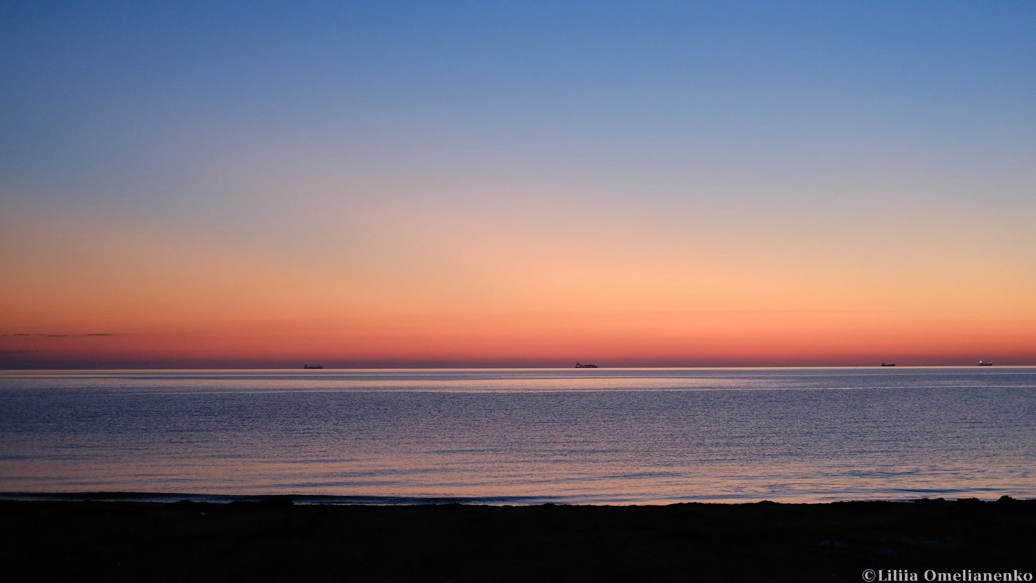 DSCF4429.jpg