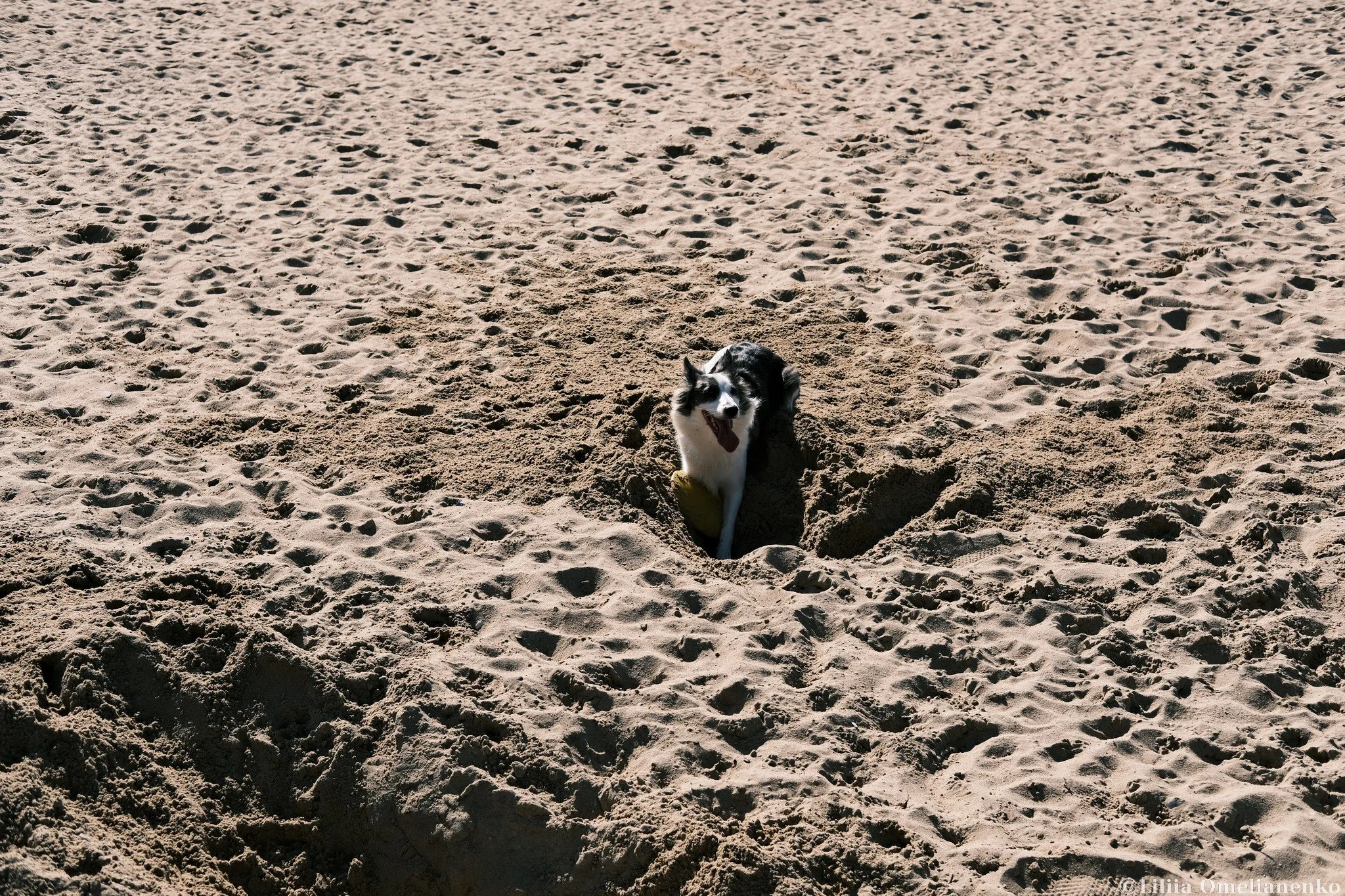 DSCF9335.jpg