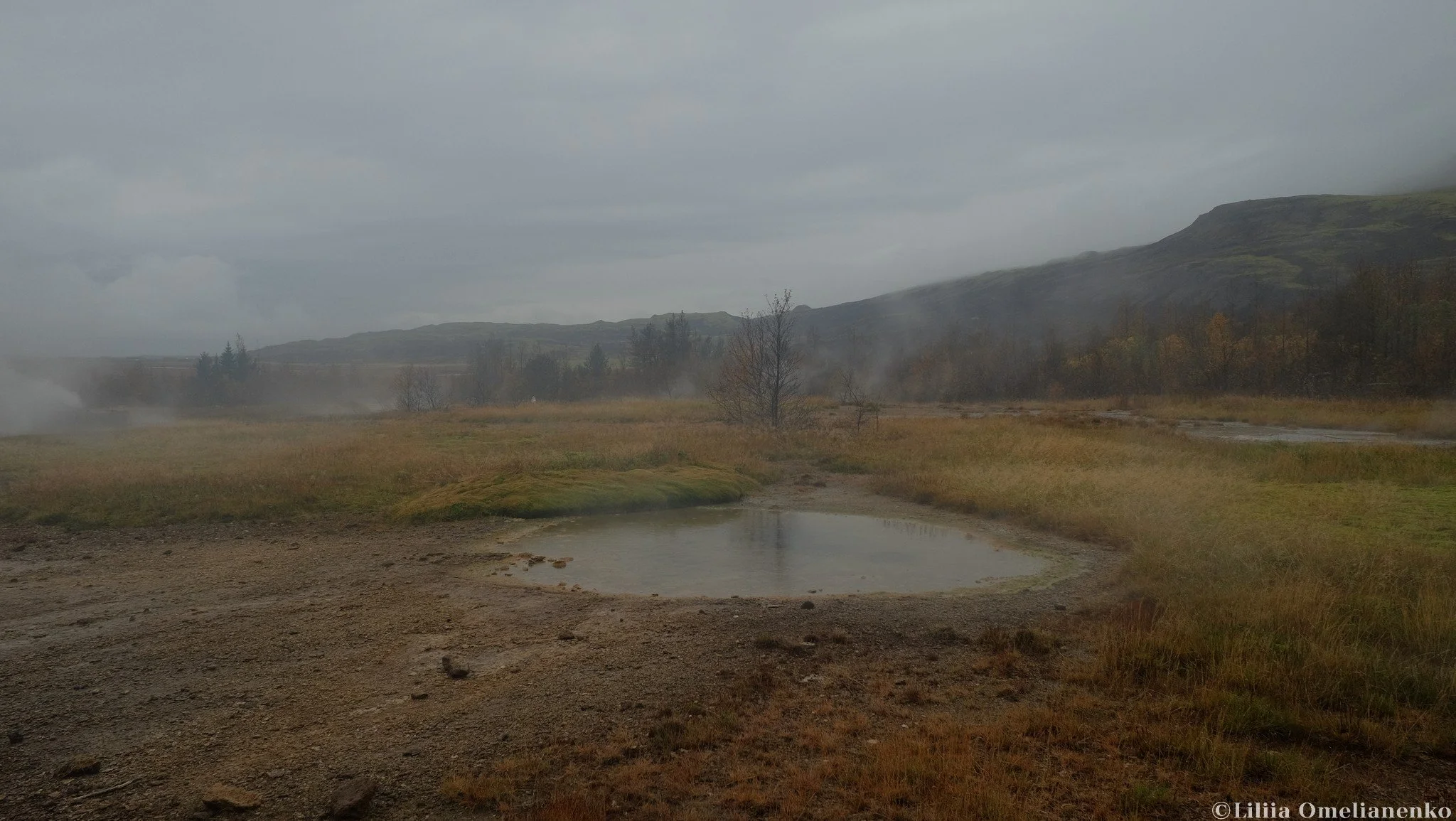 DSCF3453.jpg