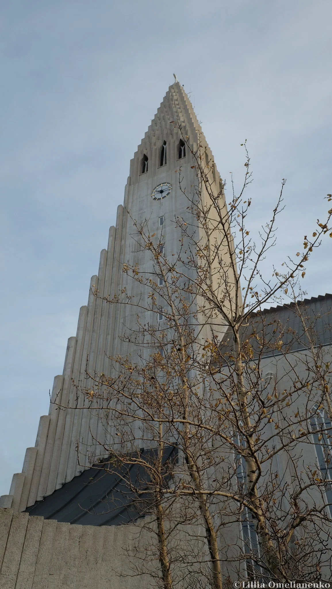 DSCF2910.jpg