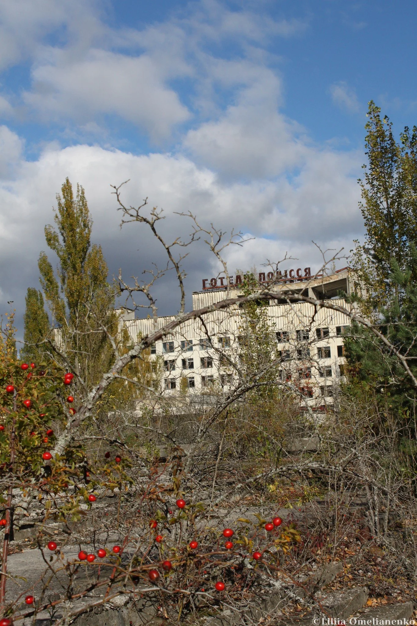 IMG_4728.jpg