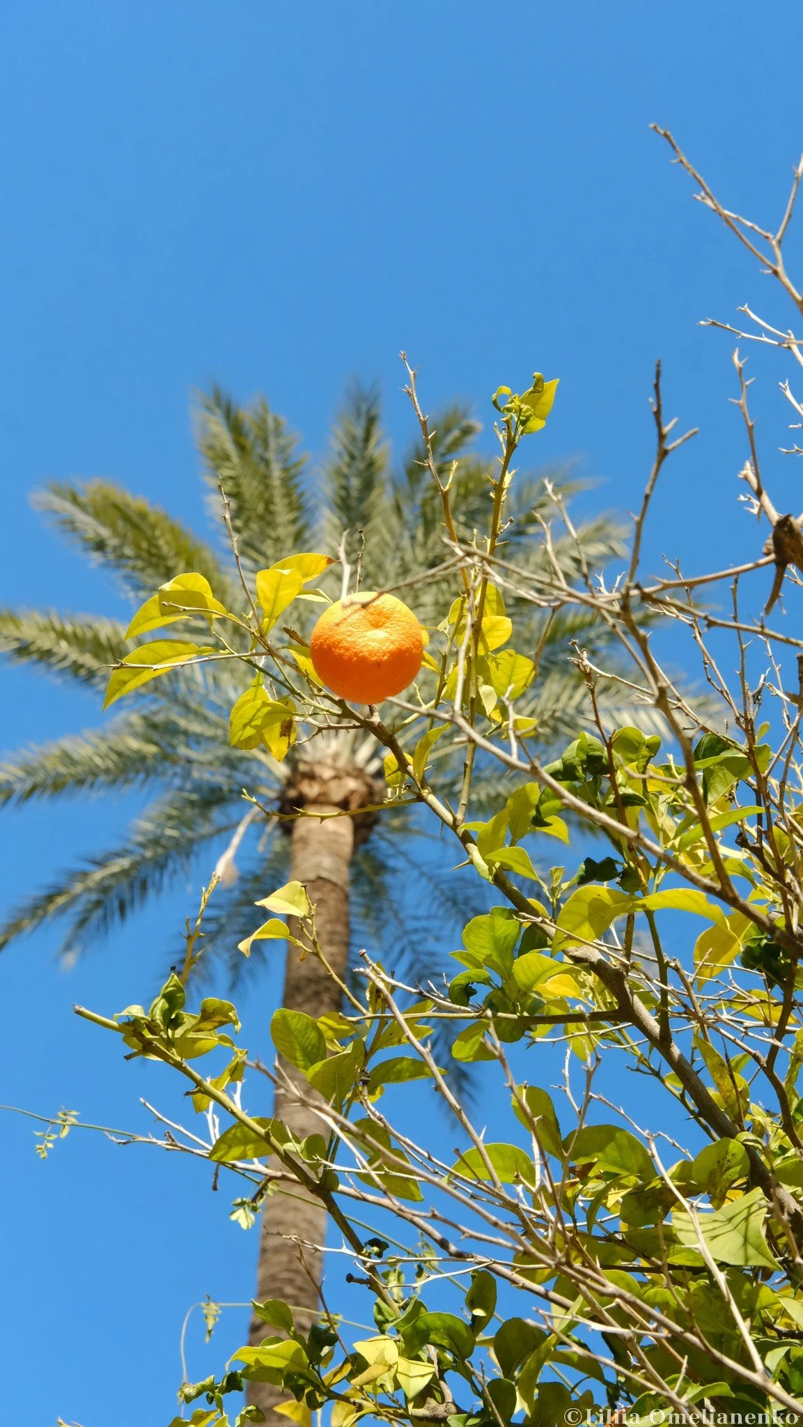 DSCF0413.jpg
