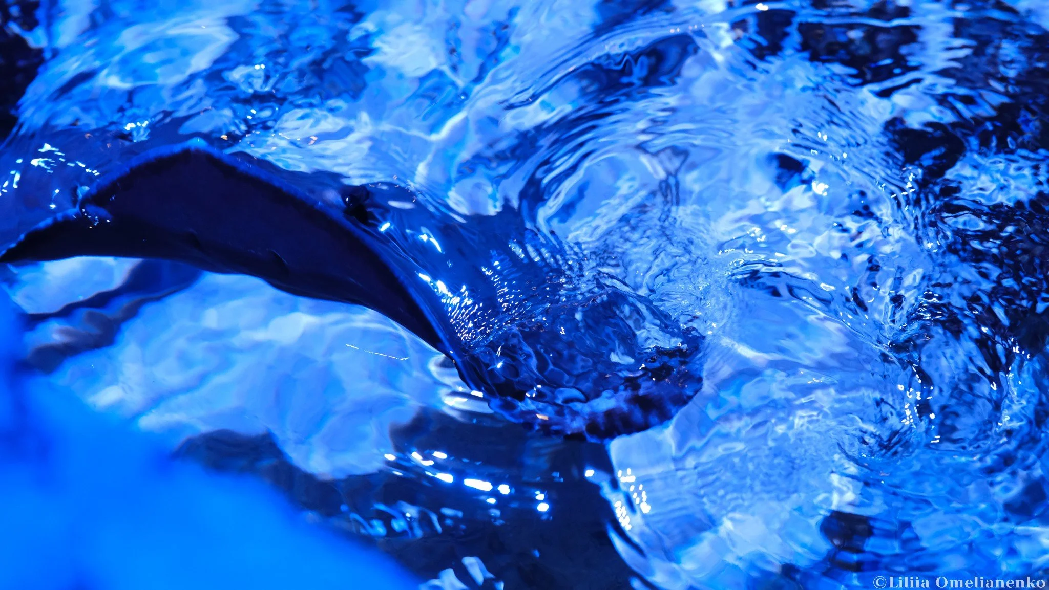 DSCF9698.jpg