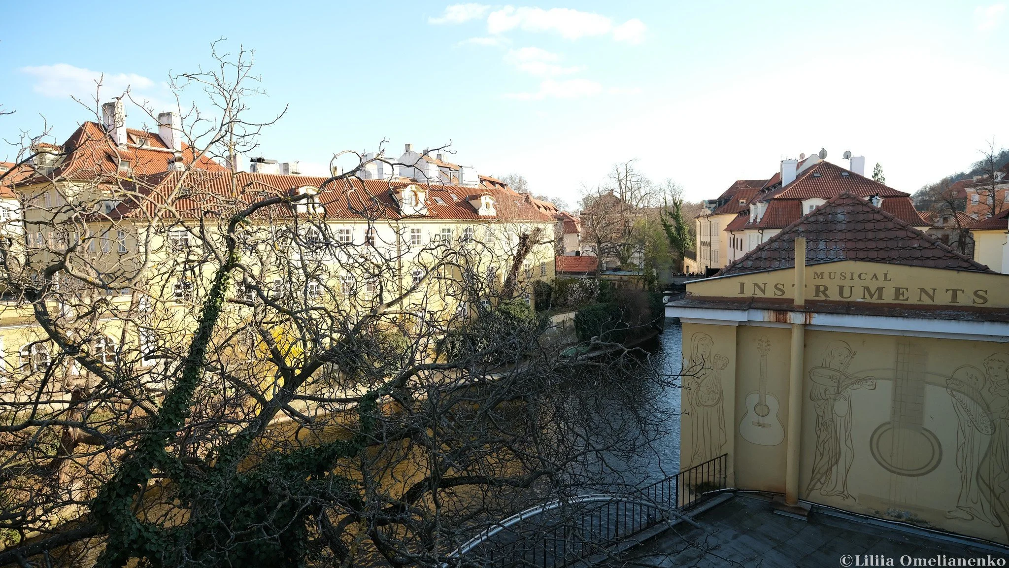 DSCF4271.jpg