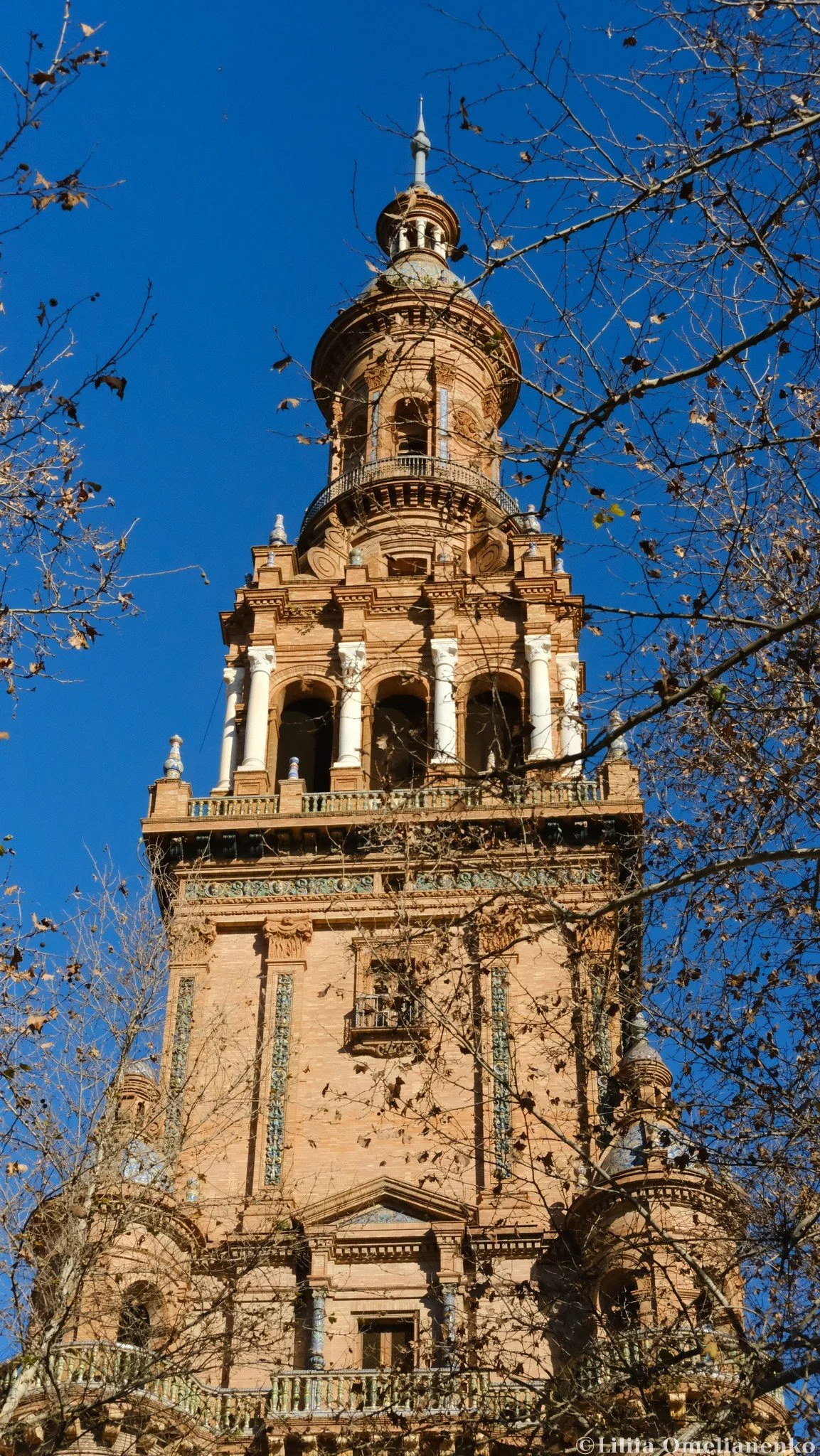 DSCF0238.jpg