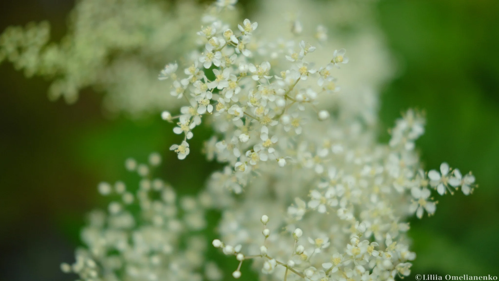 DSCF5719.jpg
