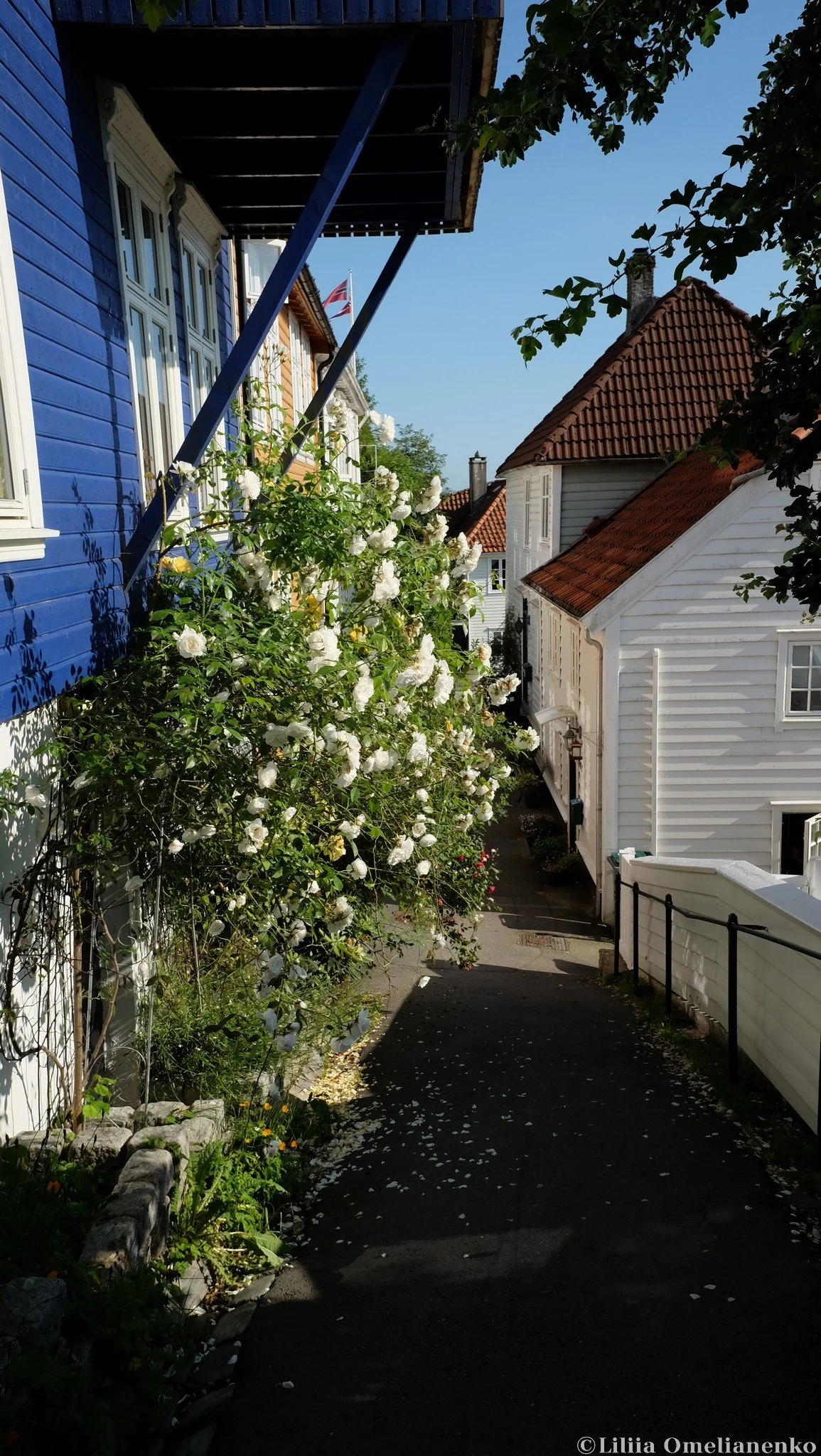 DSCF4906.jpg