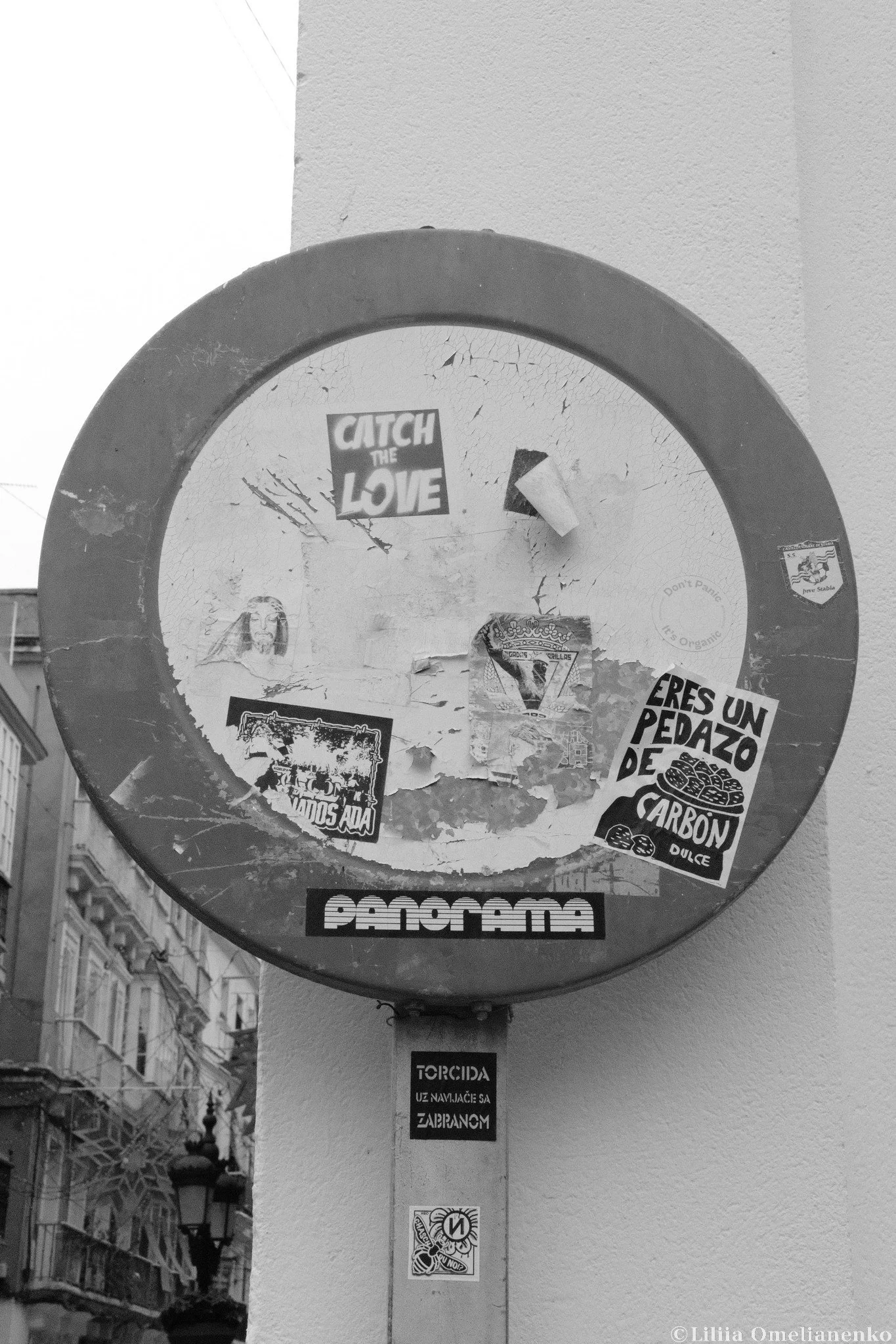 DSCF8973.jpg