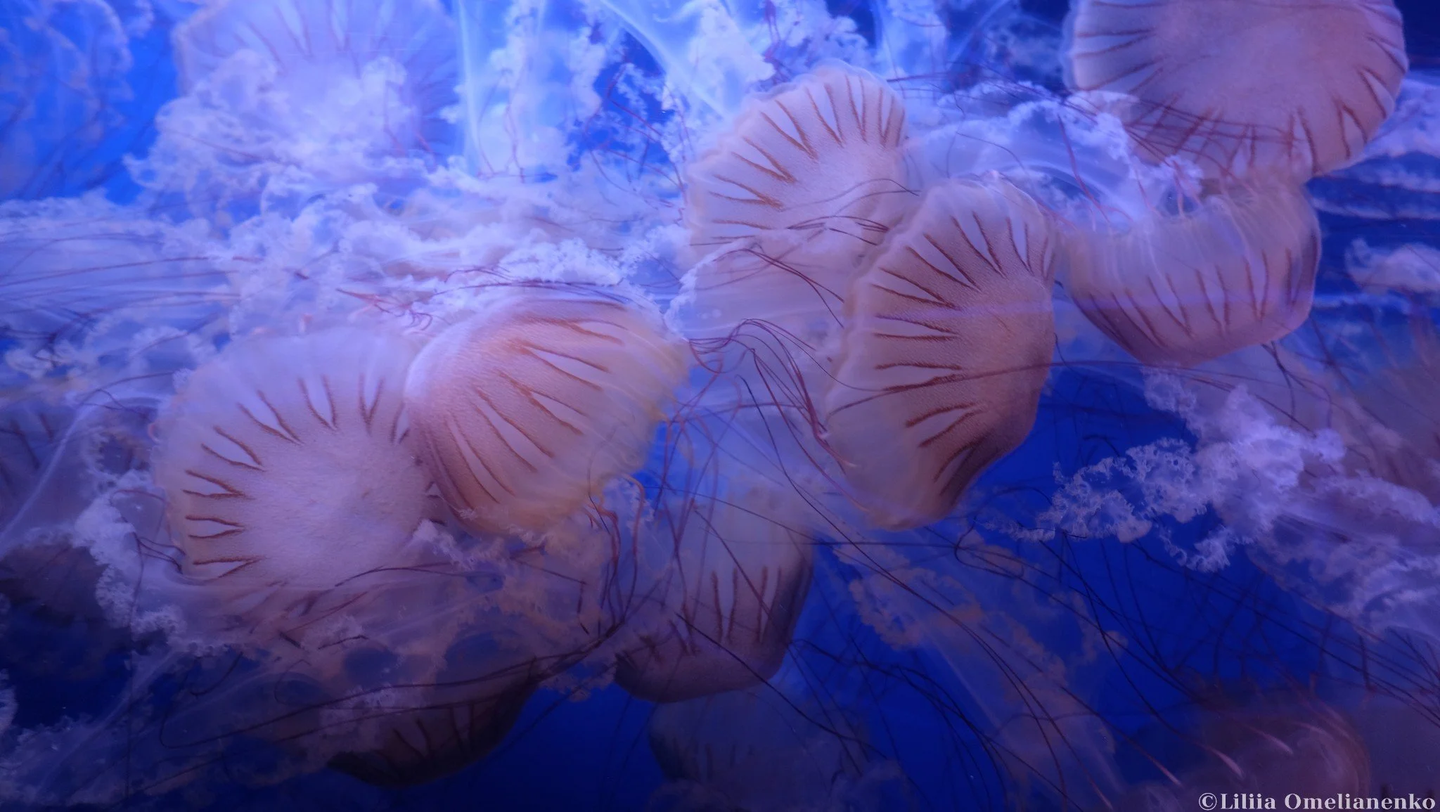 DSCF1753.jpg